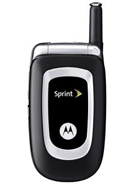 Motorola C290