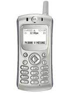 Motorola C331t