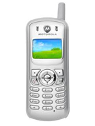 Motorola C343