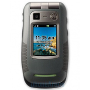 Motorola Quantico