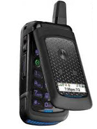 Motorola i576