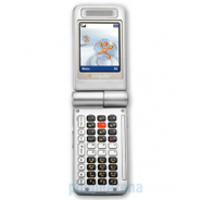 Samsung SGH-D307