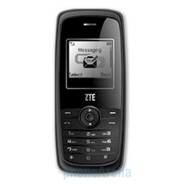 ZTE S308