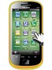 Celkon C555