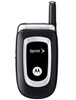 Motorola C290
