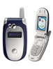 Motorola V557