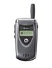 Motorola V60t