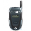 Motorola ic602 BuzzPlus